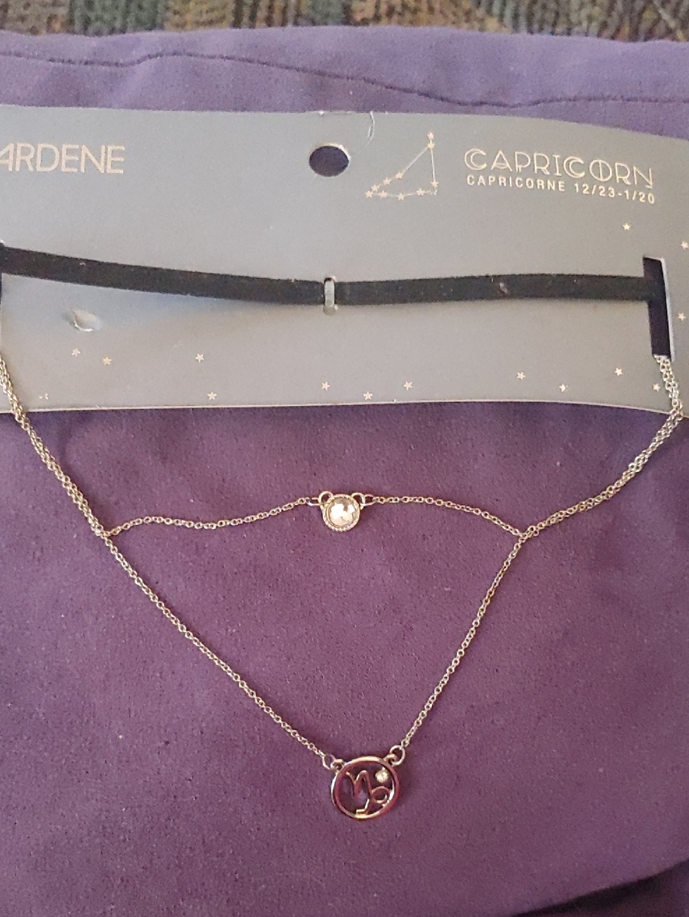 Zodiac Capricorn  Necklace